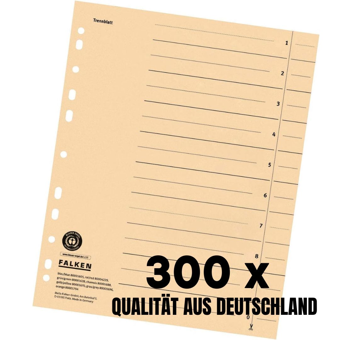 Bild 10 von 12