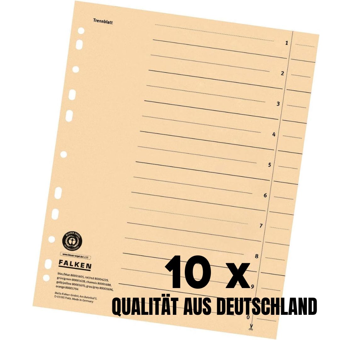 Bild 5 von 12