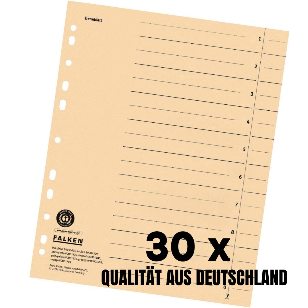 Bild 7 von 12